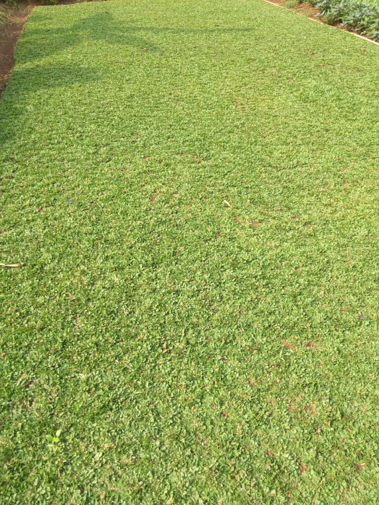 IMG-20260522-WA0102